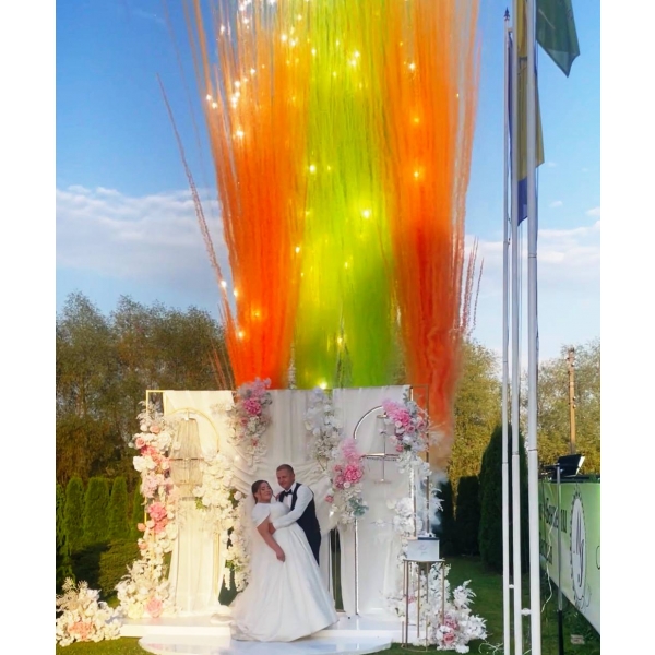 "Выстрел цветным дымом на церемонию бракосочетания" фото